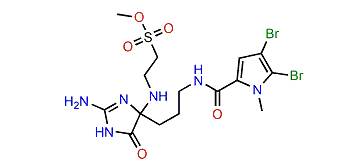 Mauritamide A